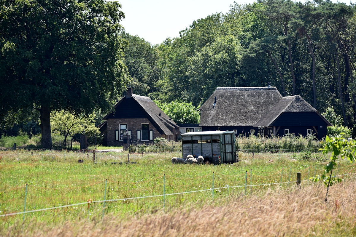 FAQs About Primitive Country Farmhouse Decor