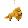 Global Groove Life Holiday Lion Felt Christmas Ornament