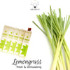 Global Groove Life Home Lemongrass Incense Natural Aromatic Incense Sticks – 75 Count (5 packs of 15)