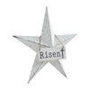 Seasons Crest Wall Hanging Celebrate Grace Metal Star w/ Risen Tag 12x12