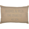 April & Olive Pillow Grace Grain Sack Pillow 14x22