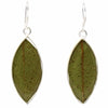 Earrings, Natural Leaf in Resin - The Village Country Store 